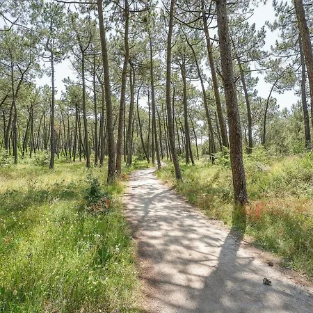 Stunning In * ラ・フォット・シュル・メール