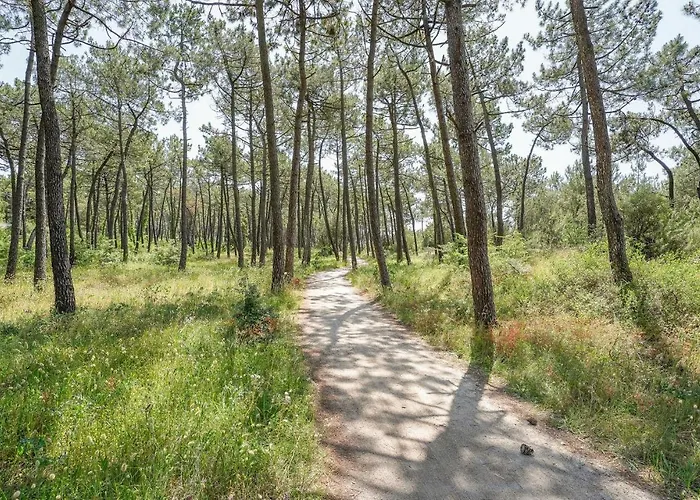 Stunning In * La Faute-sur-Mer